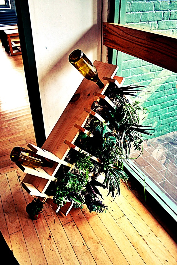 drip irrigation