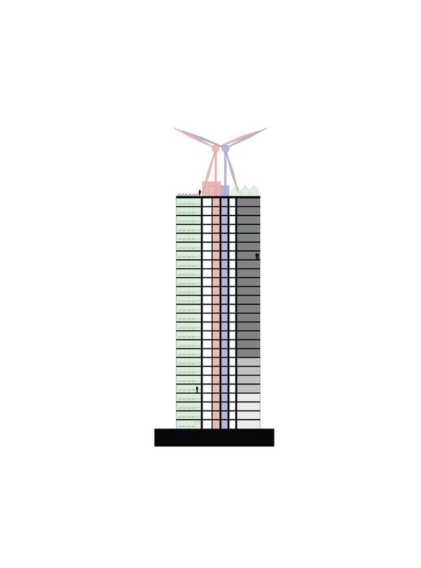 Vertical Section