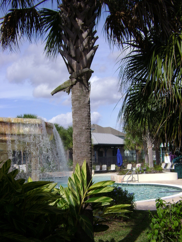 Lagoon Pool with Waterfall