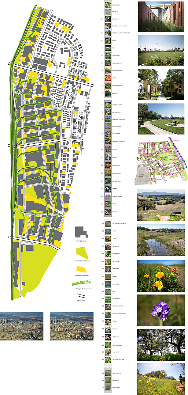 Final Board - Landscape Mapping Studies