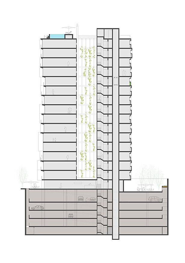 Section 1