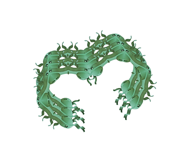 Green Symmetry One