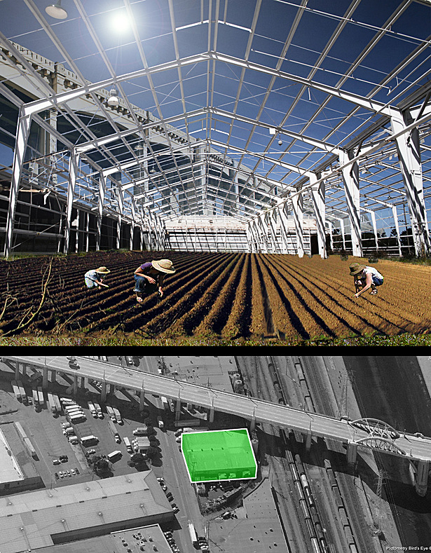 [Frame] for function - agriculture