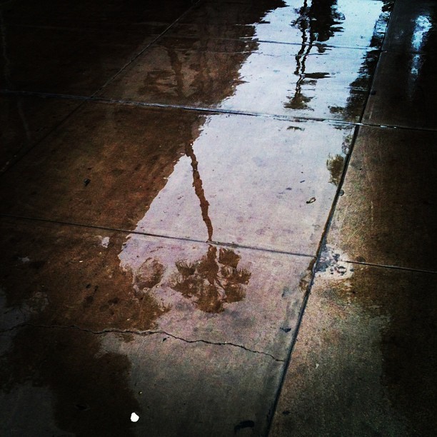 Rain, Tempe, Arizona