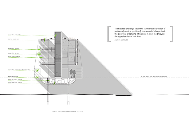 Transverse Section