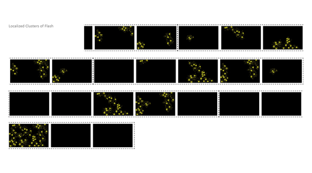 Localized clusters of flash