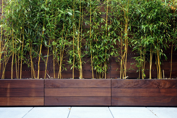 Midtown Minimal Rooftop Garden. Photo: T. G. Olcott