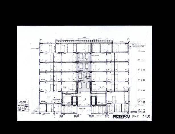 Section