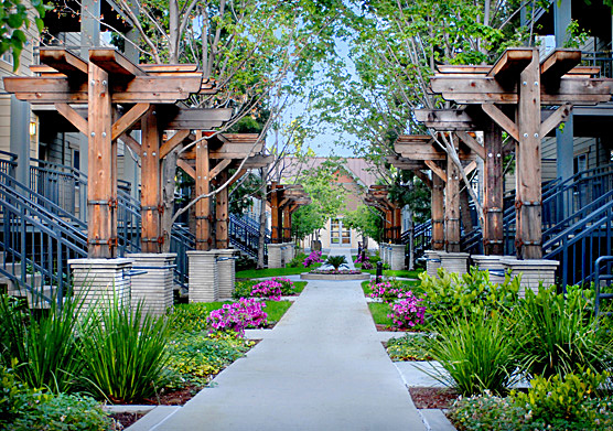 Landscape design