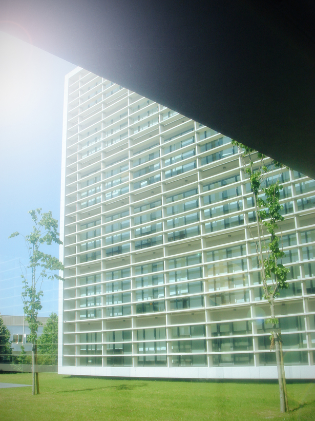 Faculty of Medicine University of Porto