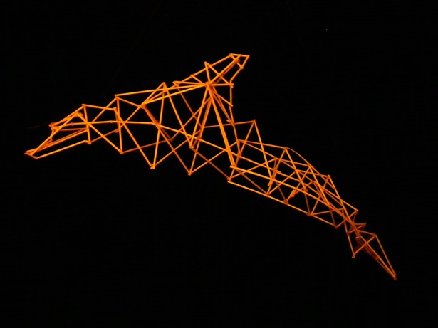 The Architecture of Dolphin I, bamboo skewers & hot glue, 20
