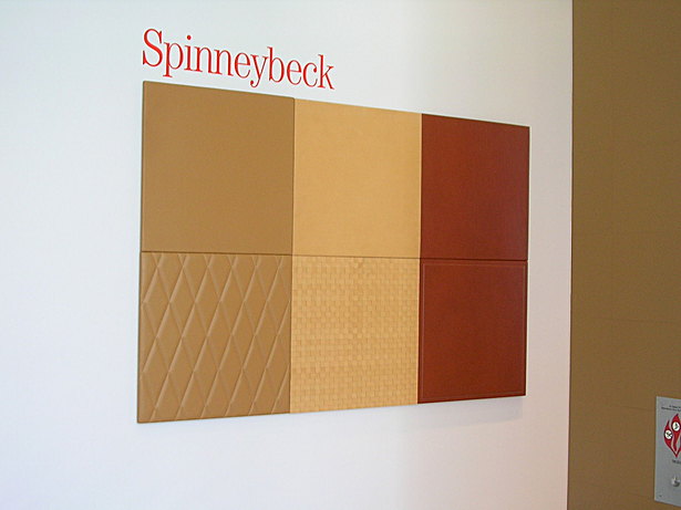 Leather display (Phoenix)