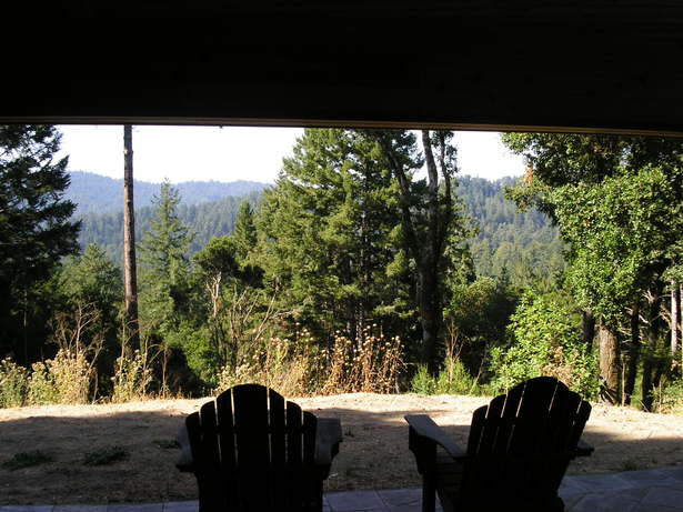 View from Basement Patio