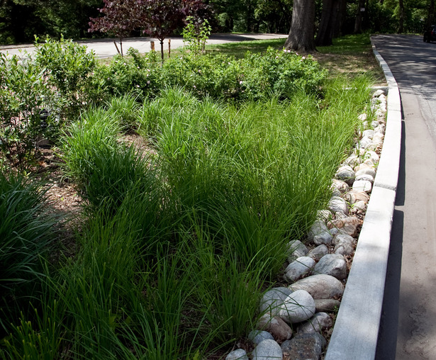 Inflitration planter for plaza