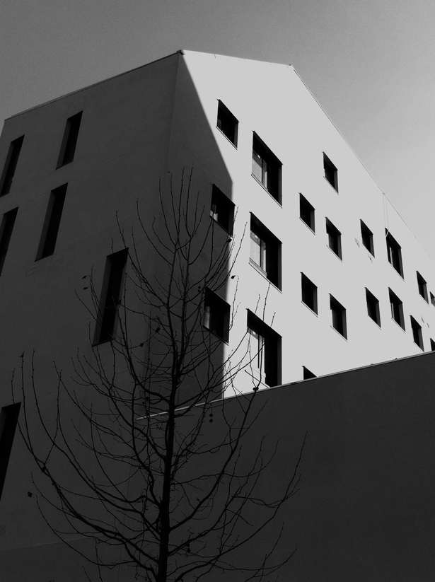 partial view