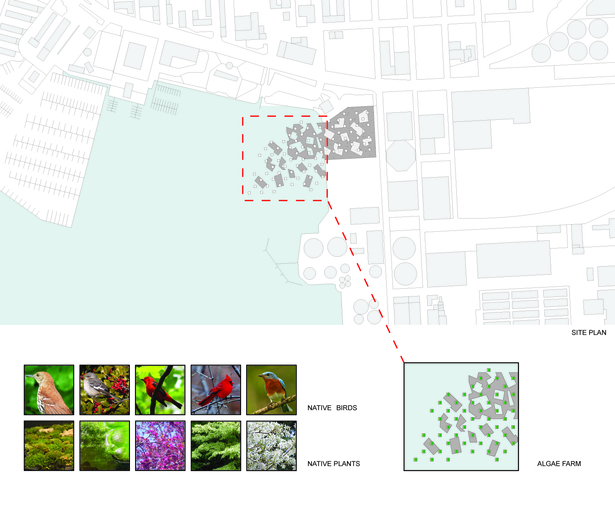 SITE ANALYSIS