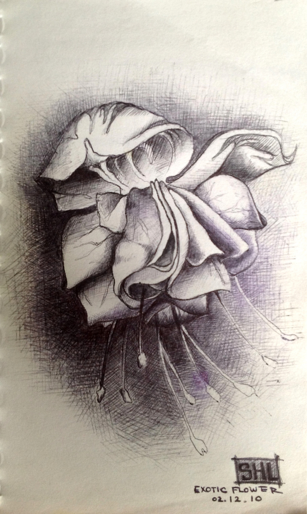 orchid, ball point pen