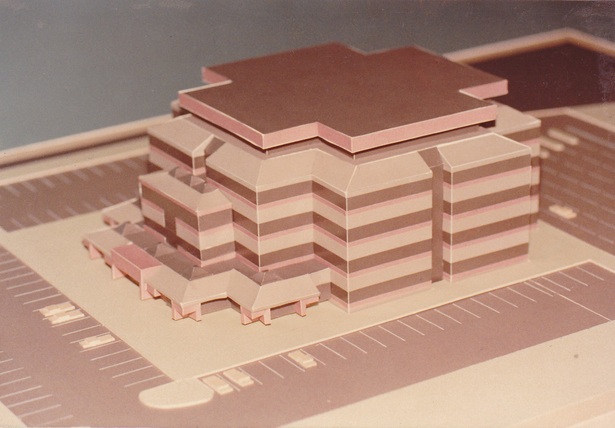 Schematic Development Model Option