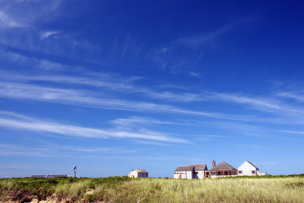 Exterior and Landscape