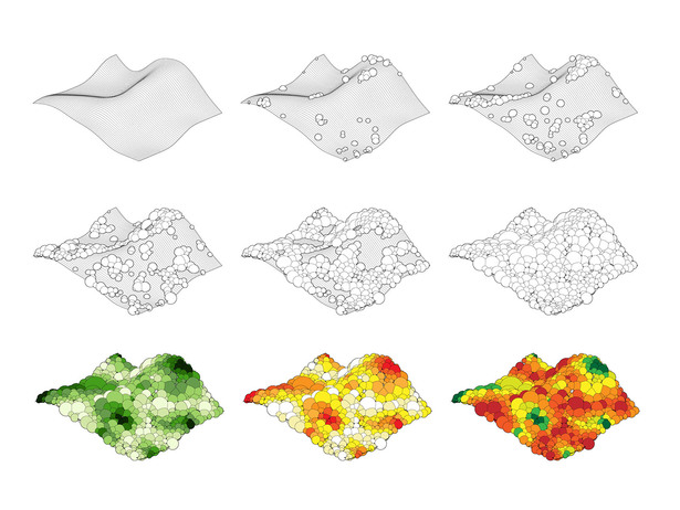 Scripting growth and coloration