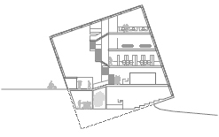 Longitudinal Section