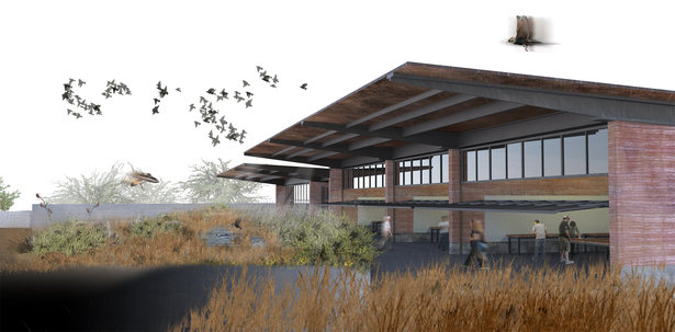 Education Wing that houses community workshop spaces and an active wetland terrace