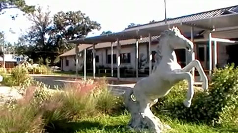 Native-planted bioswale with mascot at the school facade