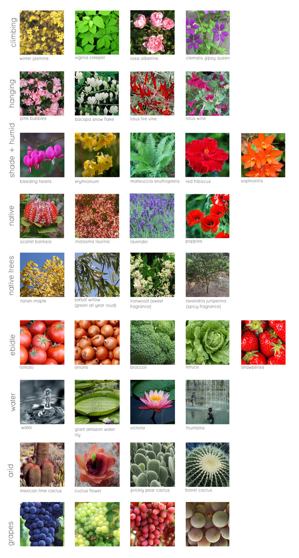 Plant types