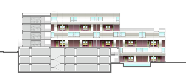 Interior Courtyard Elevation/Section