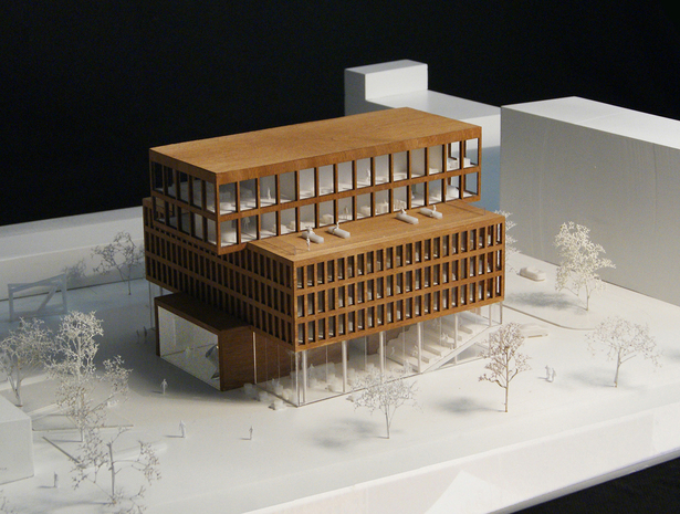 Model Image