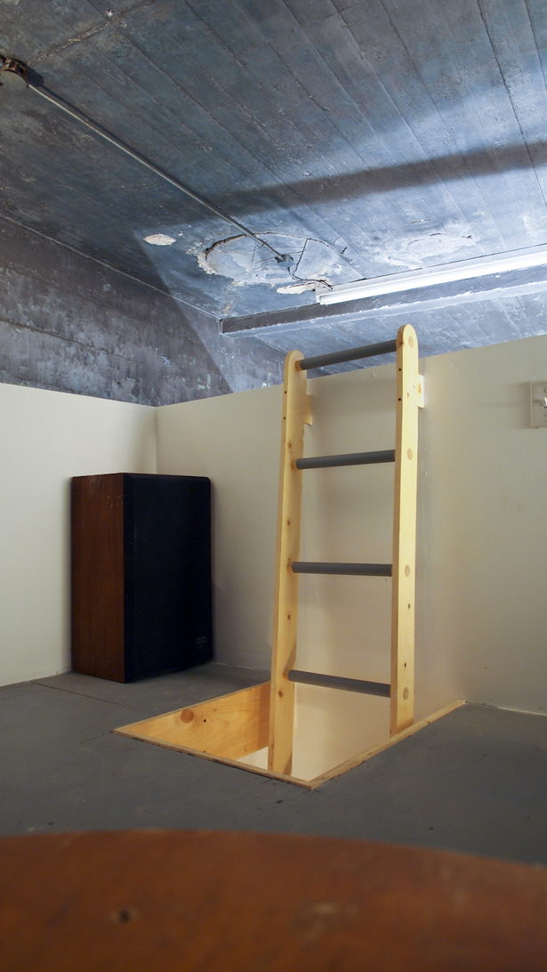 bedroom loft ladder