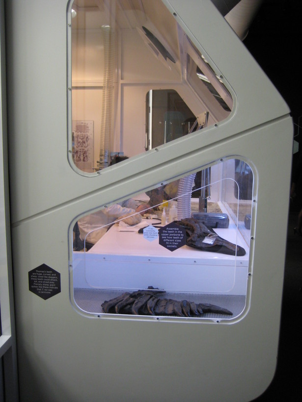 Interactive side display