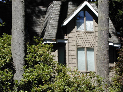 Custom Residence