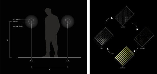 Components of interactive digital fireflies