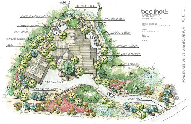 Landscape Illustrative