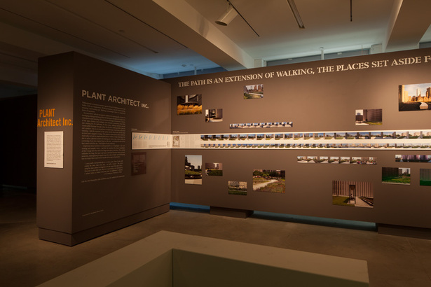 Photo by Steven Evans | © PLANT Architect Inc.