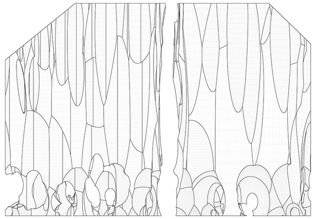 Elevation Contours