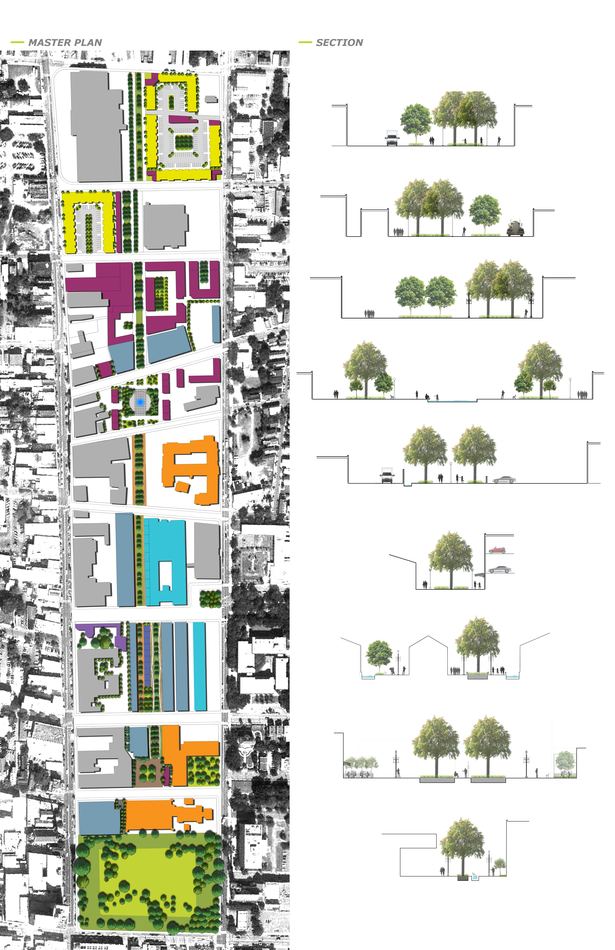 Master Plan & Section