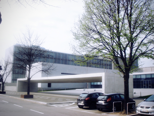 Faculty of Medicine University of Porto