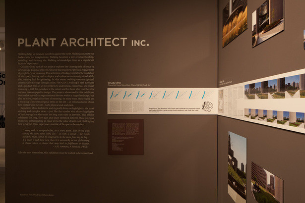 Photo by Steven Evans | © PLANT Architect Inc.