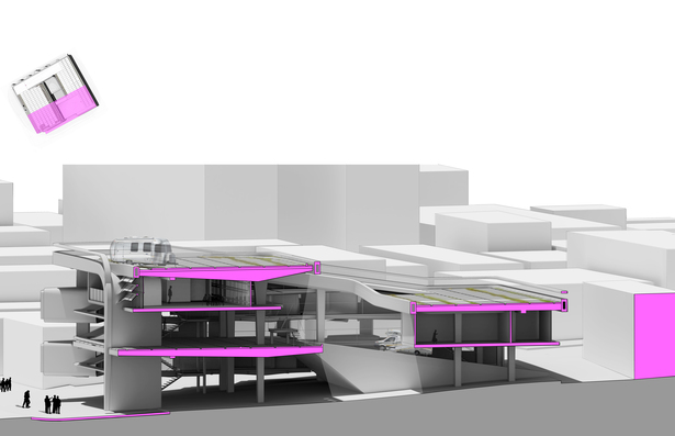 Long section 
