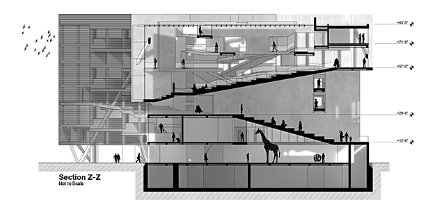 Section through main entry space.
