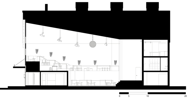 Longitudinal Section.