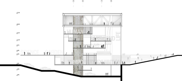 cross section 3