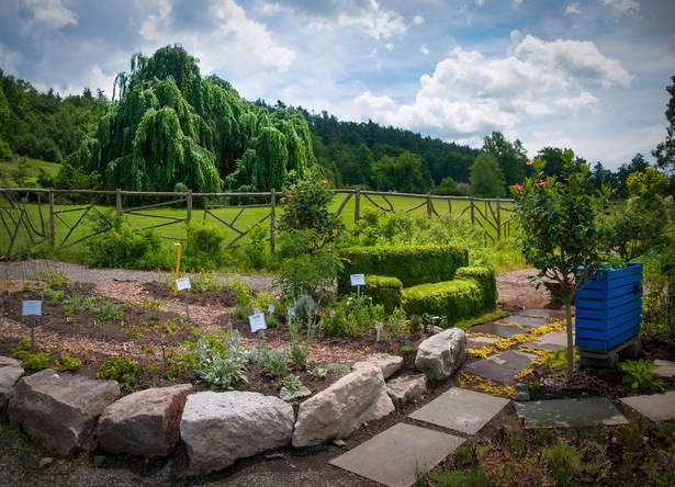 Sod Sofa and Green TV just after installation. Mohonk's weeping beech tree in the background.