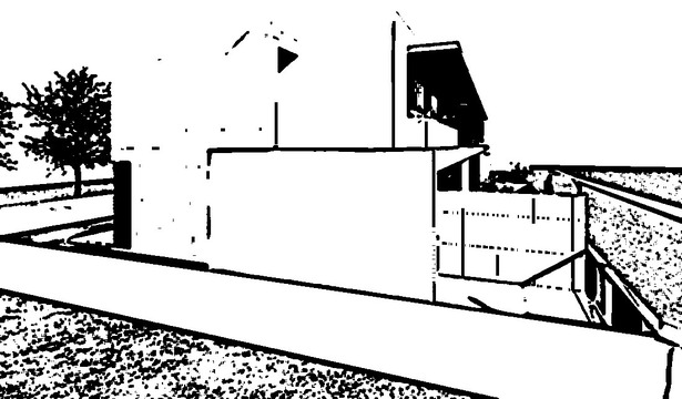Image by Hélder Unas - Arrangements by Sofia Mateus