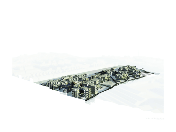 Section-perspective overview