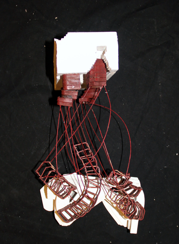 Study Model