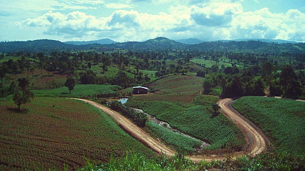 Loei, Thailand - Countryside
