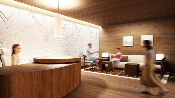 Propossed Spa Suite